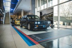 MG_3029