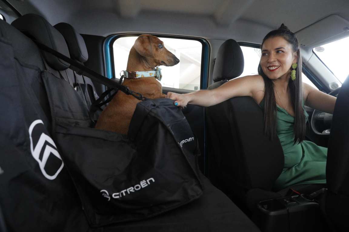 Citroën “Pets Ride”: así son los test drives con la mascota a bordo del auto