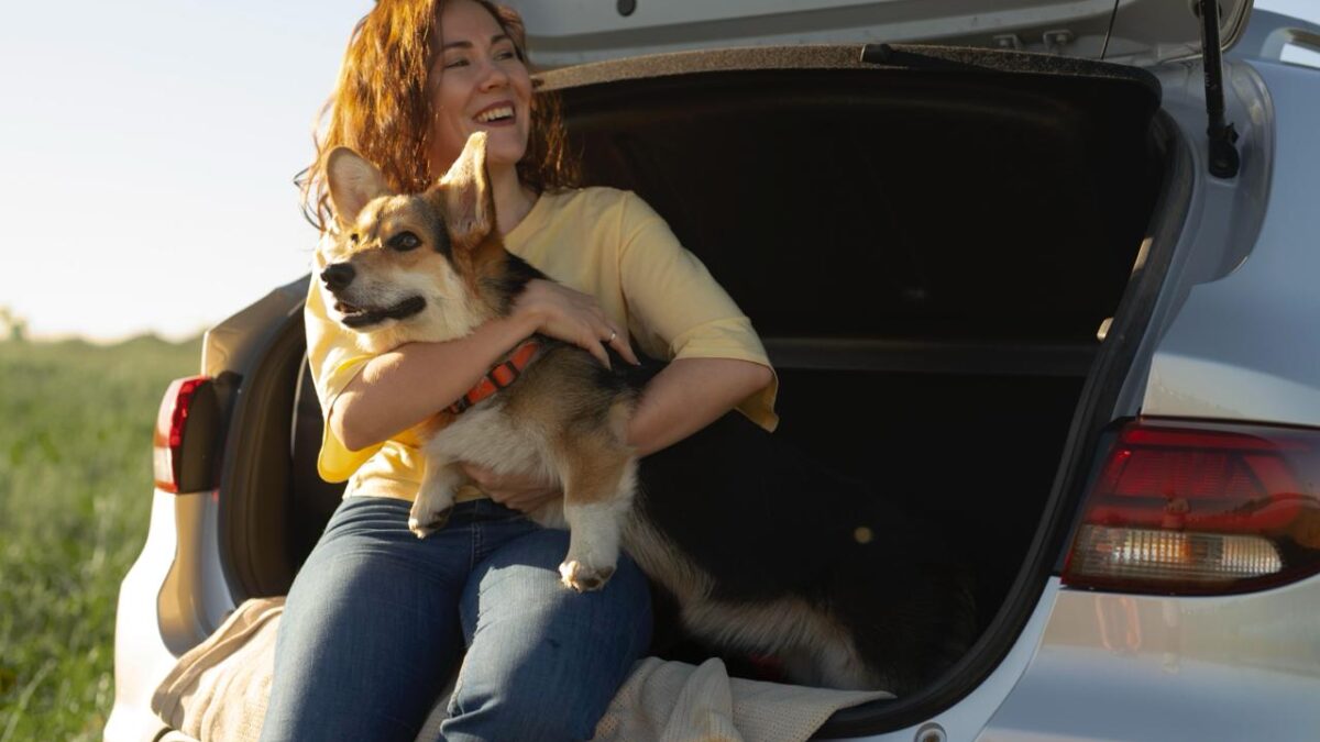 ¿Transportas a tu mascota en el auto? Descubre cómo hacerlo de forma segura